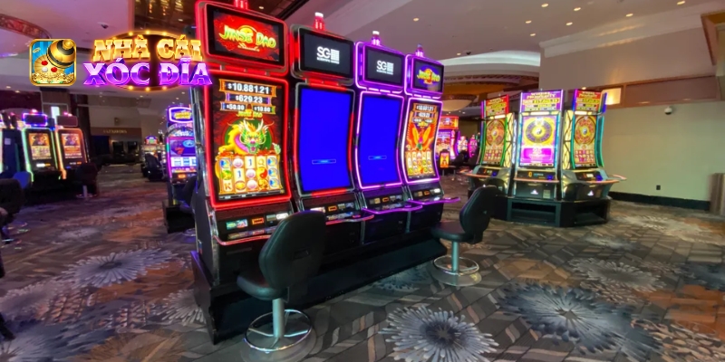 Cá cược casino uy tín